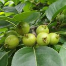 훈이농장 이미지