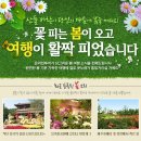 포토제닉1 이미지