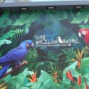 강촌펜션 이미지