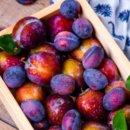 올림픽공원역 2번출구(앞) | 올림픽공원역 카페 베스트 10 순위 추천