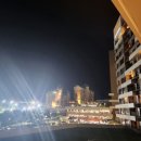 소노펠리체 델피노 이미지