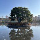 부산시설공단부산시민공원 | 아기와 함께 걷기 좋은 부산시민공원, 가족 나들이 명소 추천.