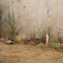 제주애단비 마주 이미지