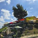 광판팔뚝김밥 이미지