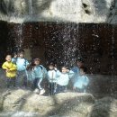 두동(병설)유치원 이미지