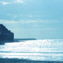 그리움 무 이미지