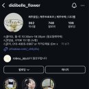 디디벨플라워