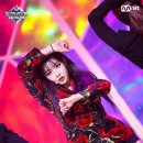 스포터짐 이미지