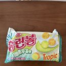 🍈 홈런볼 메론우유맛 내돈내산 솔직 후기 — 달콤상큼 신상 과자 리뷰!