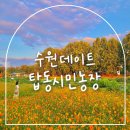 서울대학교 농업생명과학대학 실험목장 | 경기도 수원 가볼만한곳 수원탑동시민농장 댑싸리, 주차