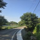 중명 정원 이미지