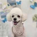 와르아르 네이버블로그