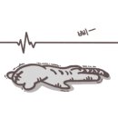 올가드림뷰티 흥덕마을점 이미지