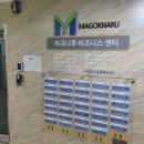 이프컴퍼니