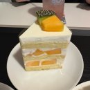 193 | 마산 합성동 수제 케이크&amp;디저트 카페 맛집 보우트 자세한 솔직 후기+ 주차,맛있는 음료