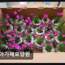 아가페 | [인천 요양원/추천/후기] 아가페요양원 합리적 비용과 접근성 돋보인다