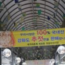 유신2호 이미지