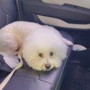 이앤박동물병원 이미지