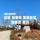 강원사료 | [강원/체험] 19개월 아기 강릉 옥계 쌍둥이 동물농장 후기