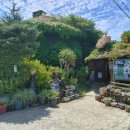 사계의들녘 이미지