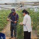 농업기술센터 가동 이미지