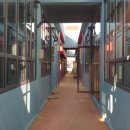 동성시장 이미지