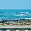 신라스테이플러스 이호테우 이미지