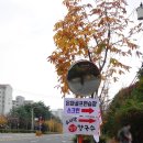 매암산 등산로 이미지