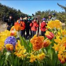 모산초등학교 이미지