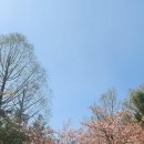 다복향마라탕 권선점 이미지
