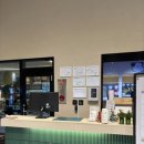 스테이펫 이미지