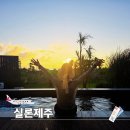 실론제주 이미지