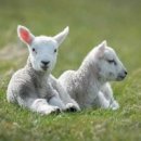 동주농장 이미지