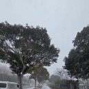 모텔돼지꿈 | 9박 10일 제주환상자전거길 234km 걸어서 제주 한 바퀴 9일차 (완주)