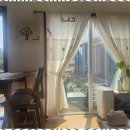 제주올래 이미지