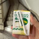 세이안 동교 이미지