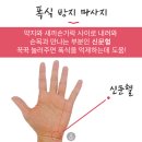 베라앤