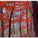 금수사초소 이미지