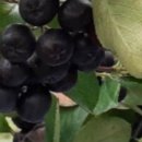 의료법인 삼포의료재단 이미지