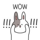 오 마이 캣 이미지