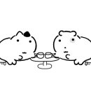 일상을 기록하는 포토에세이 이미지