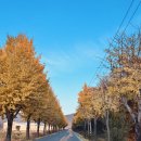 화왕산자연휴양림(창녕) | 창녕 국립화왕산자연휴양림 가을 바베큐 파티! 창녕박물관, 어린이박물관도 방문!