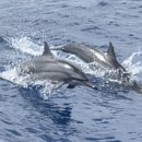 버거프라자 이미지