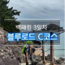 영덕블루로드 | 영덕블루로드 65km 백패킹3일차/B코스/C코스