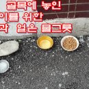 시장통 골목에 놓인 길고양이 밥그릇과 얼은 물그릇 이미지