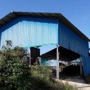 한우축사 이미지