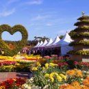 어양동-08 이미지