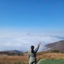 미래스포츠 | 양평 패러글라이딩 내돈내산 후기 (미래항공스포츠 유명산 체험비행 후기)