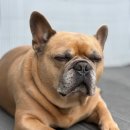 눈편안세상 이미지