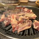 낙동생오리 이미지